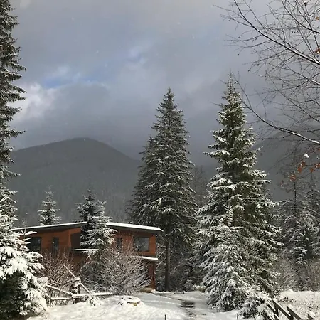 Inmount Сasa de vacaciones Tatariv