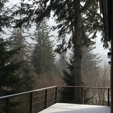 Сasa de vacaciones Inmount Tatariv